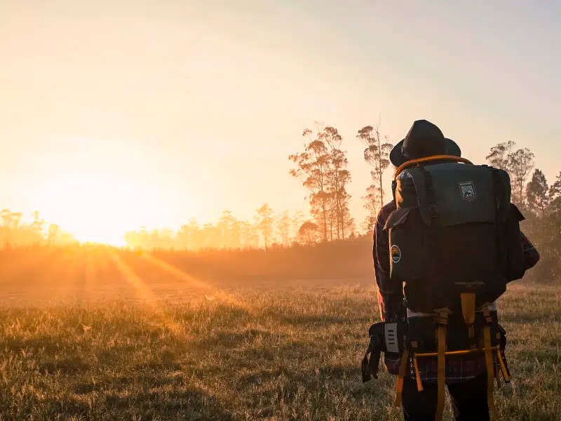 Descubriendo los eneatipos: Un viaje hacia el autoconocimiento